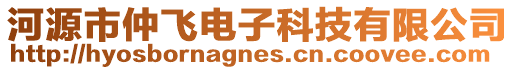 河源市仲飛電子科技有限公司
