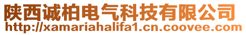 陜西誠柏電氣科技有限公司