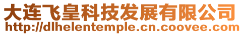 大連飛皇科技發(fā)展有限公司