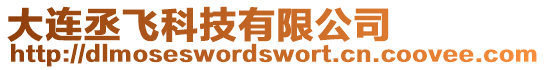 大連丞飛科技有限公司