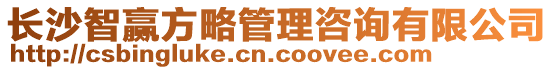 長沙智贏方略管理咨詢有限公司