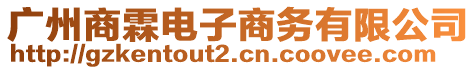 廣州商霖電子商務有限公司