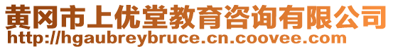 黃岡市上優堂教育咨詢有限公司