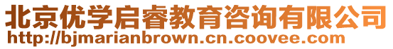 北京優學啟睿教育咨詢有限公司