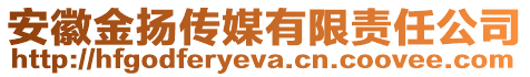 安徽金揚(yáng)傳媒有限責(zé)任公司