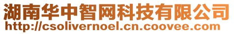 湖南華中智網科技有限公司