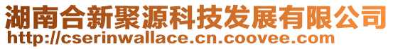 湖南合新聚源科技發展有限公司