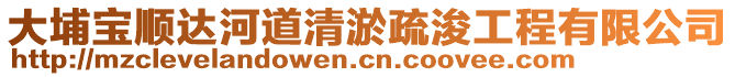 大埔寶順達河道清淤疏浚工程有限公司