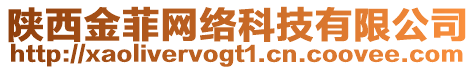 陜西金菲網絡科技有限公司