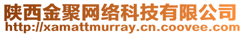 陜西金聚網絡科技有限公司