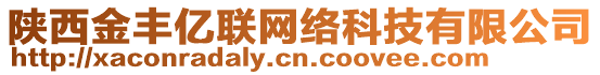 陜西金豐億聯網絡科技有限公司