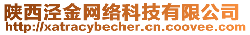 陜西涇金網絡科技有限公司