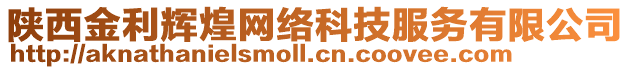 陜西金利輝煌網絡科技服務有限公司