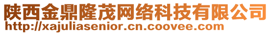 陜西金鼎隆茂網(wǎng)絡(luò)科技有限公司