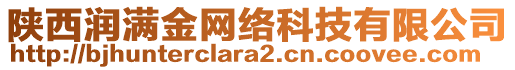 陜西潤滿金網(wǎng)絡(luò)科技有限公司