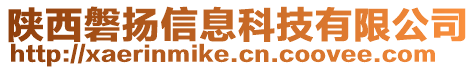 陜西磐揚信息科技有限公司