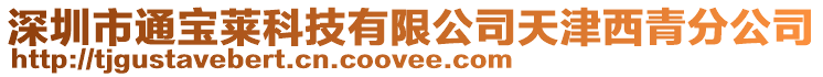 深圳市通寶萊科技有限公司天津西青分公司