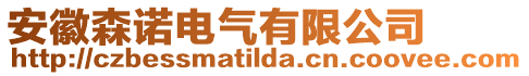安徽森諾電氣有限公司