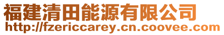 福建清田能源有限公司