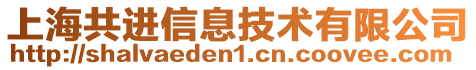 上海共進信息技術(shù)有限公司