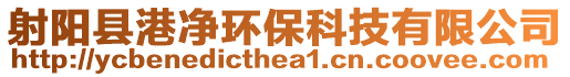 射陽(yáng)縣港凈環(huán)保科技有限公司