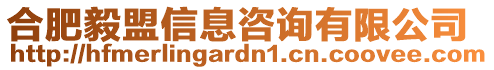 合肥毅盟信息咨詢有限公司