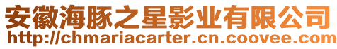 安徽海豚之星影業有限公司