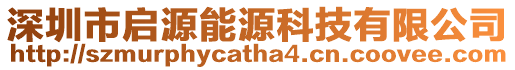 深圳市啟源能源科技有限公司