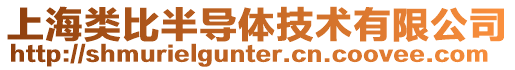 上海類比半導體技術有限公司