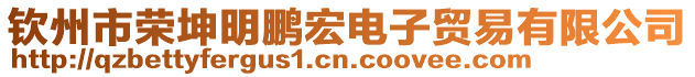 欽州市榮坤明鵬宏電子貿(mào)易有限公司