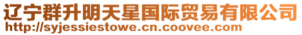遼寧群升明天星國際貿易有限公司