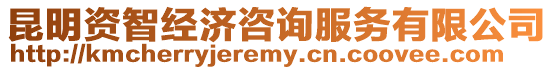 昆明資智經濟咨詢服務有限公司