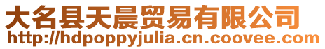大名縣天晨貿易有限公司