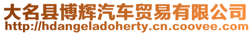 大名縣博輝汽車貿易有限公司