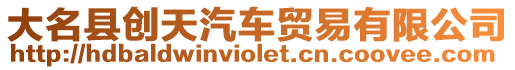 大名縣創天汽車貿易有限公司