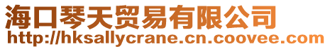 海口琴天貿(mào)易有限公司