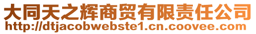 大同天之輝商貿有限責任公司