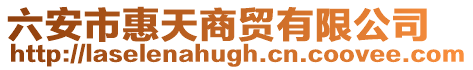六安市惠天商貿有限公司