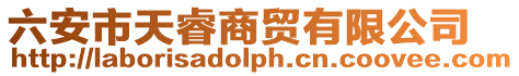 六安市天睿商貿有限公司