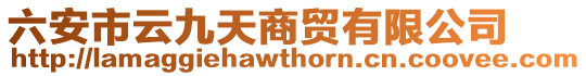 六安市云九天商貿有限公司