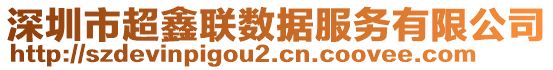 深圳市超鑫聯(lián)數(shù)據(jù)服務有限公司