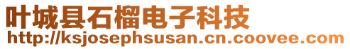 葉城縣石榴電子科技