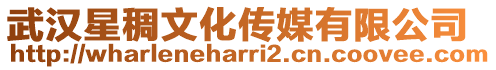 武漢星稠文化傳媒有限公司