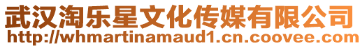 武漢淘樂星文化傳媒有限公司