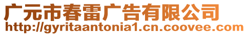 廣元市春雷廣告有限公司