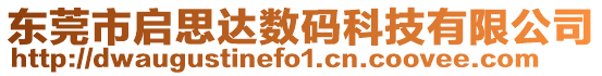 東莞市啟思達(dá)數(shù)碼科技有限公司