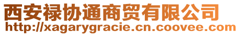 西安祿協(xié)通商貿(mào)有限公司