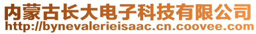 內蒙古長大電子科技有限公司
