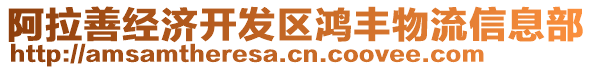 阿拉善經(jīng)濟開發(fā)區(qū)鴻豐物流信息部