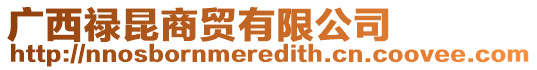 廣西祿昆商貿有限公司